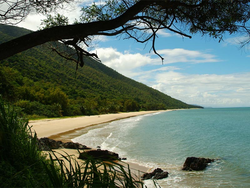 Palm Cove Beach im Norden von Cairns, Queensland