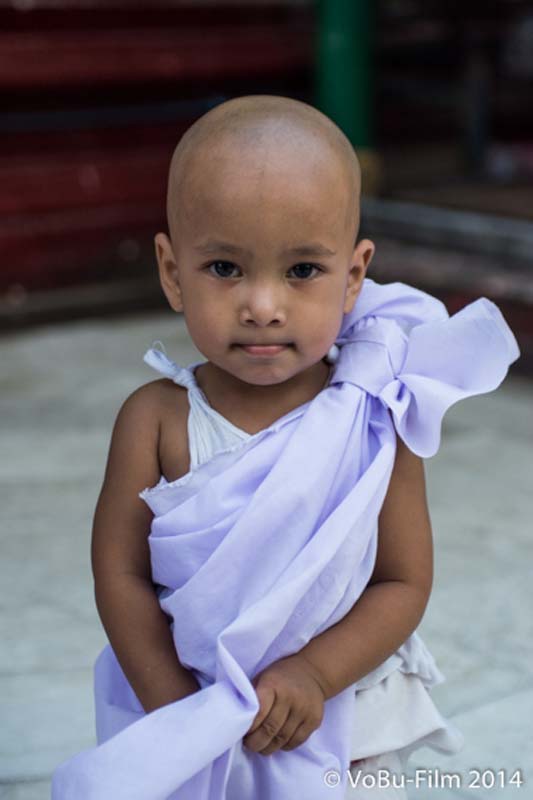 Junge Nonne, Shwedagon Pagoda, Yangon, Myanmar